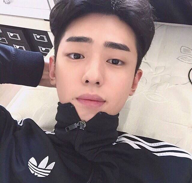 苏轮保腾