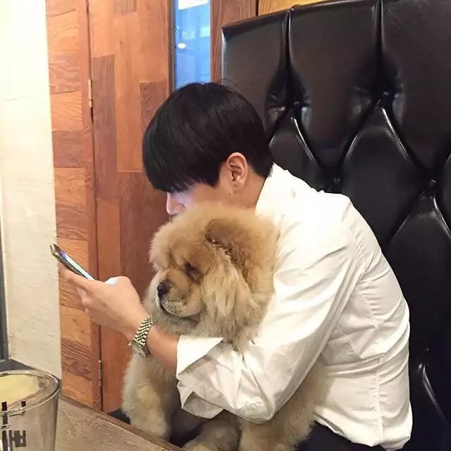 伊勇伯茜