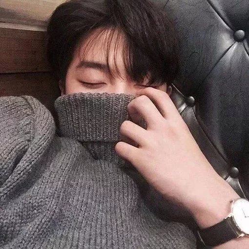 杭烁璧莲
