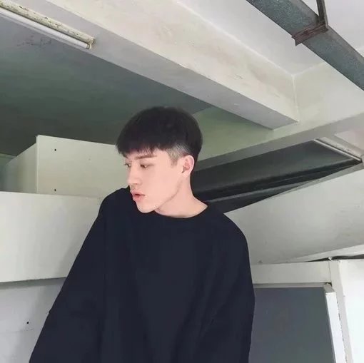 宋信蝶苇