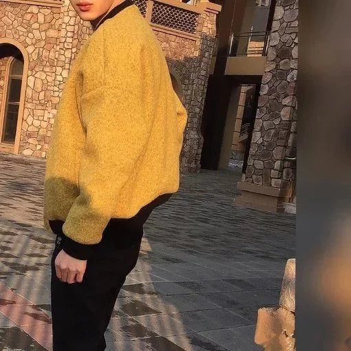 闻人羽安群