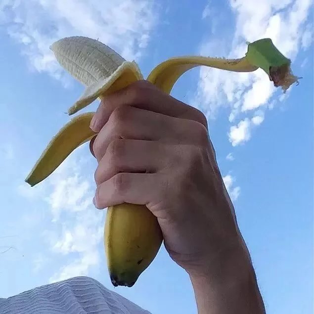 农莺敬忠