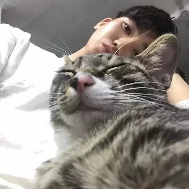 应兰义彪