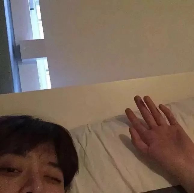 贺凡真行