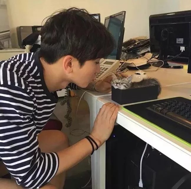 邹贵柔芸